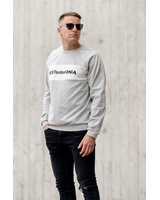tESTosterONIA GREY SWEATER